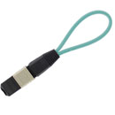 MTP/MPO���˻�·��