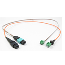 PRIZM? LIGHTTURN? �� MTP/MPO 