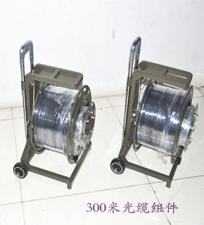 FT  300�׹������